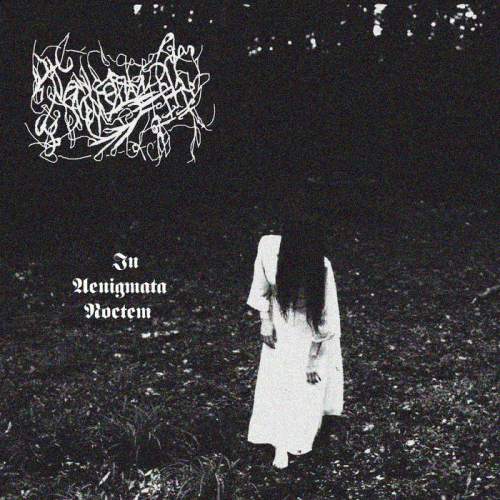 Tenebrae Animae : In Aenigmata Noctem